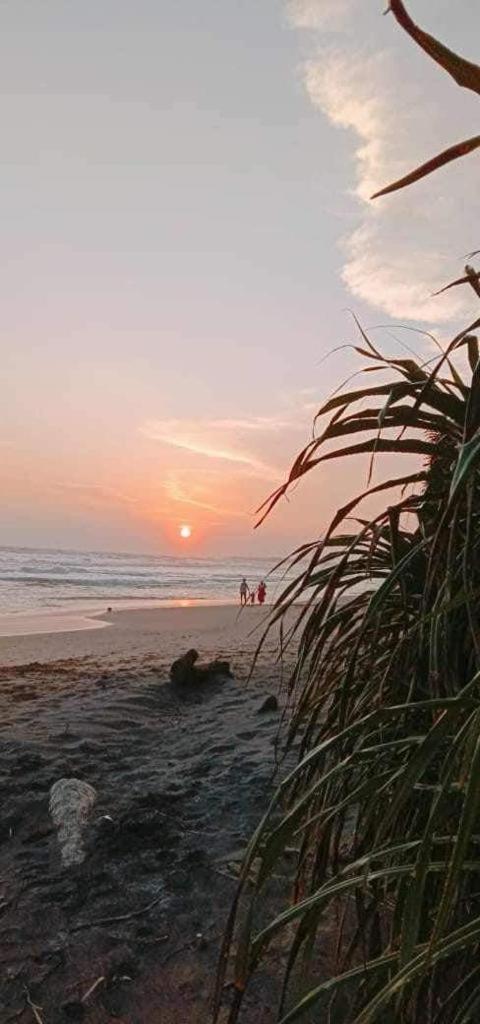 Lion Paradise Surf Beach Ματάρα Εξωτερικό φωτογραφία